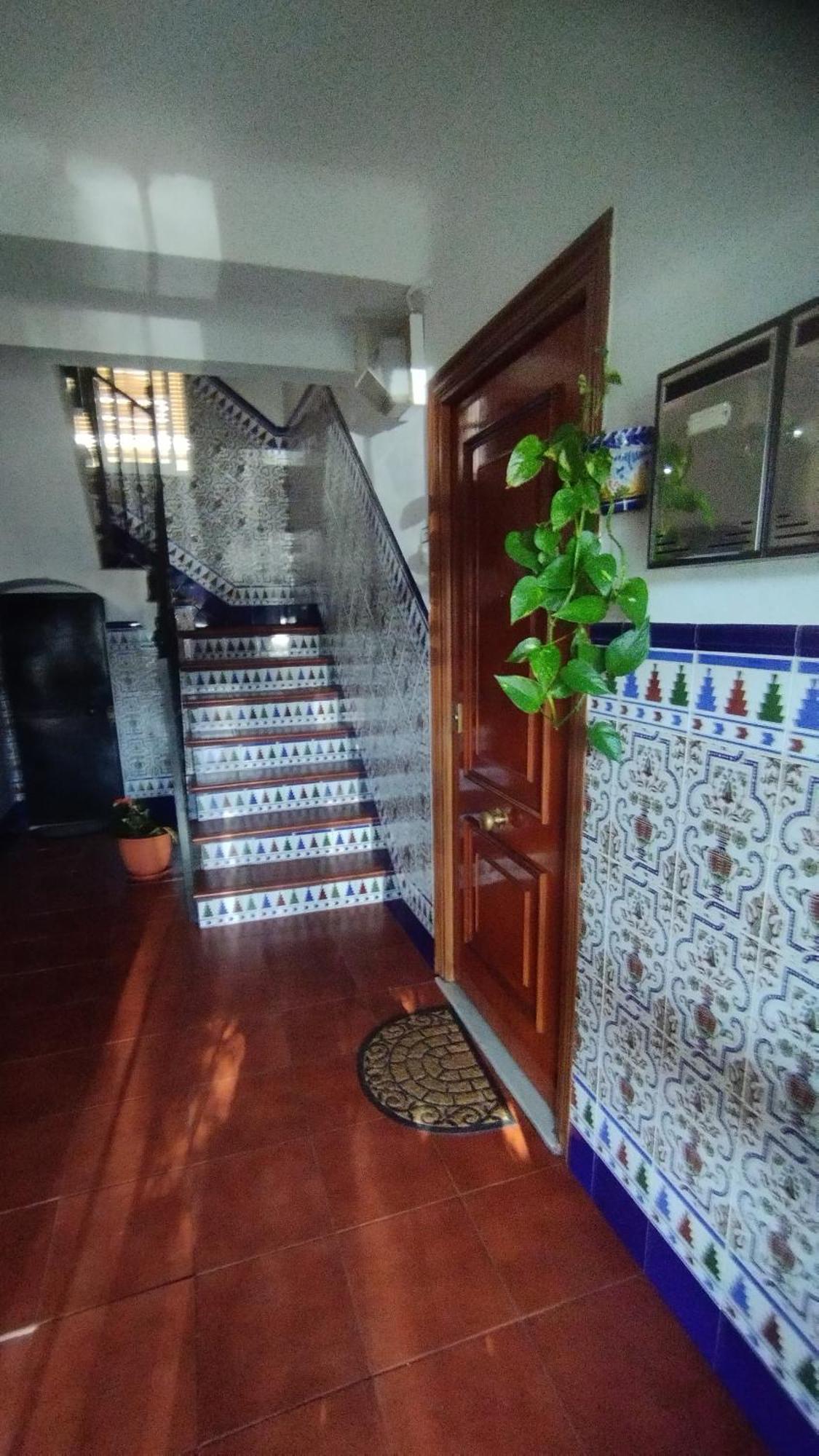 Apartamento 1 Dormitorio Y Salon Con Sofa Cama Bien Comunicado Con El Centro Севилья Экстерьер фото